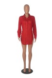 Sexy Sheer Long Sleeve Lapel Slit Chiffon Beach Blouse