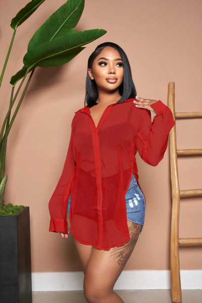 Sexy Sheer Long Sleeve Lapel Slit Chiffon Beach Blouse