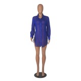 Sexy Sheer Long Sleeve Lapel Slit Chiffon Beach Blouse