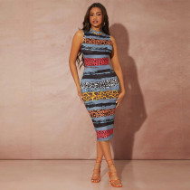 Printed sexy women's dress Printed sexy women's dress