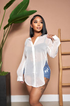 Sexy Sheer Long Sleeve Lapel Slit Chiffon Beach Blouse