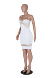 Sling Sexy Mesh Panel Dress