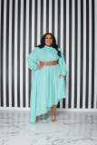 Plus Size Solid Color Long Sleeve Loose Dress (No Belt)