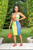 Printed pit strip belly multicolor skirt suit
