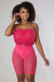 Women's Stretch Mesh Wavy Ruffle Sling Top Mesh Pants Set