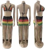 Women's Long Fringe Woven Colorblock Fringe Beach Dress
