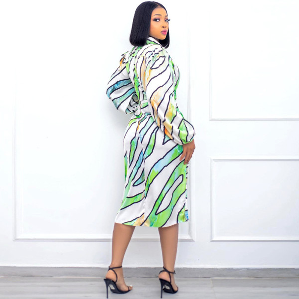 Plus Size Women's Printed Lapel Shirt Dress