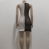 Sexy Fashion Stretch Black and White Mesh Women's Beach Dress