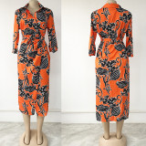 Plus Size Women's Printed Neck Waist Commuter Lapel Dress