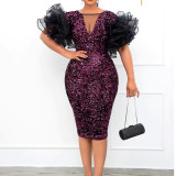 Mesh Ruffle Sleeve Sequin Pack Hip Body Dress