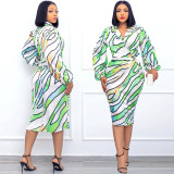Plus Size Women's Printed Lapel Shirt Dress