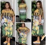 Fashion Print Plus Size Women's Print Dress