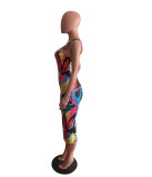Fashionable Colorful Snakeskin Print Sleeveless Dress