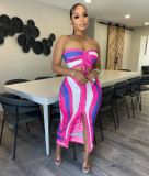 Personalized Print Tube Top Tie Two-Piece Skirt Set