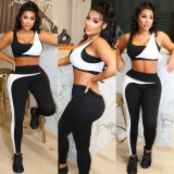 Fashion Casual Splicing Color Two-piece Set