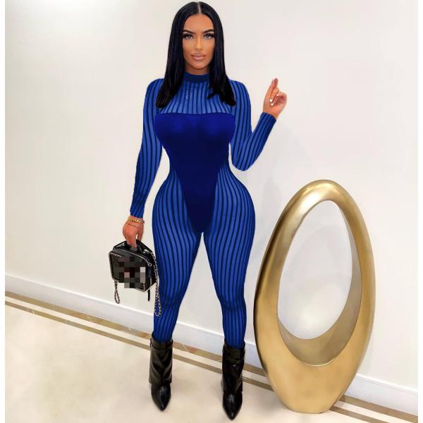 Mesh Striped Panel Sexy Sheer Jumpsuit
