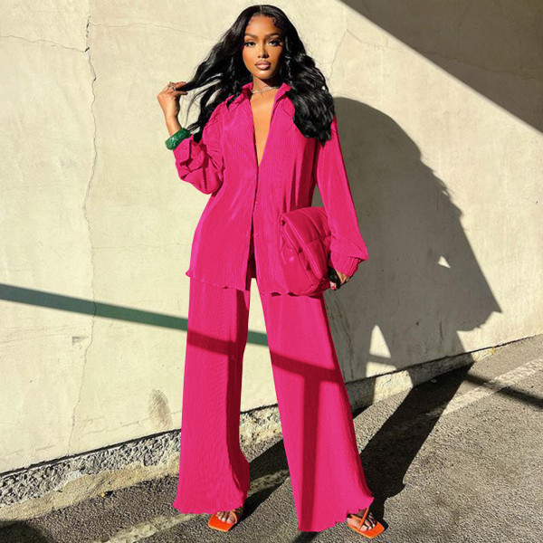 Casual Long Sleeve Solid Color Two Piece Set