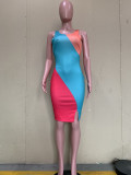 Sleeveless Sexy Digital Positioning Print Dress