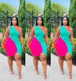 Sleeveless Sexy Digital Positioning Print Dress
