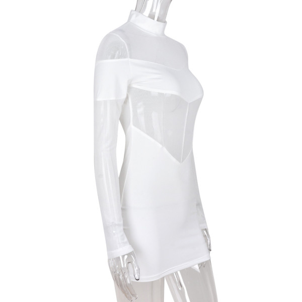 Mesh Perspective Pullover Sexy Long Sleeve Stand Collar Short Skirt