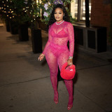 New Sexy Mesh Perspective Printed Long Sleeve Top High Waist Pants Suit Women