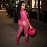 New Sexy Mesh Perspective Printed Long Sleeve Top High Waist Pants Suit Women