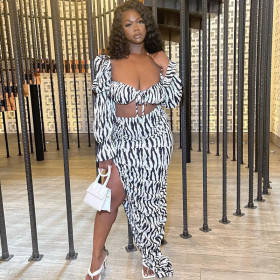 Printed V-Neck Backless Long Sleeve Top Slit Skirt Set