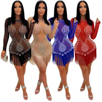 See-through Round Neck Long Sleeve Hot Diamond Dress Fringe Skirt See-through Round Neck Long Sleeve Hot Diamond Dress Fringe Skirt