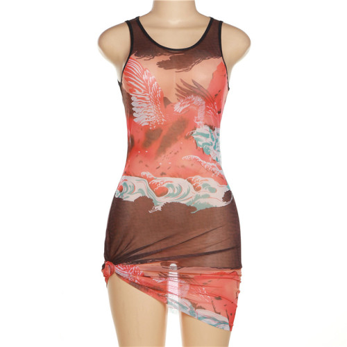 Sexy Babes Mesh Print Sleeveless Slim Fit Hip Dress