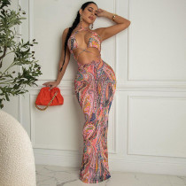 Printed halterneck dress sexy temperament slip dress Printed halterneck dress sexy temperament slip dress