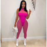 Solid Color Mesh Panel Sexy Perspective Slim Bodysuit