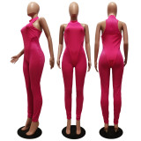Solid Color Mesh Panel Sexy Perspective Slim Bodysuit