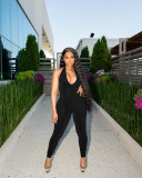 Women's Solid Mesh Sleeveless Halter Open Back Jumpsuit