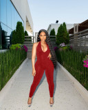 Women's Solid Mesh Sleeveless Halter Open Back Jumpsuit