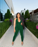 Women's Solid Mesh Sleeveless Halter Open Back Jumpsuit