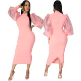 Sexy Fashion Solid Color Women's Fitted Dress
