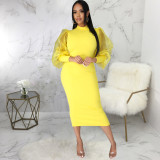 Sexy Fashion Solid Color Women's Fitted Dress