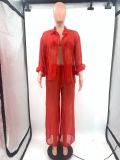 Women's Bikini Sexy Perspective Cardigan Wide Leg Pants Three Piece Set