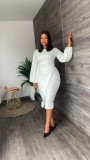 Lantern Long Sleeve Fashion Dress