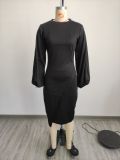 Lantern Long Sleeve Fashion Dress