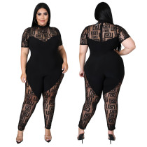 Solid Color Perspective Polyester Mesh Large Size Zipper Jumpsuit Women's One Piece Solid Color Perspective Polyester Mesh Large Size Zipper Jumpsuit Women's One Piece