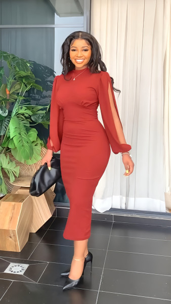 Elegant Slim Dress Women Fashion Round Neck Long Sleeve Slim Fit Party Dress