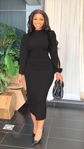 Elegant Slim Dress Women Fashion Round Neck Long Sleeve Slim Fit Party Dress