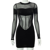 Mesh Panel Sheer Tube Top Slim Dress
