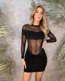 Mesh Panel Sheer Tube Top Slim Dress
