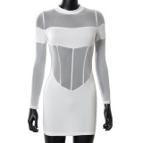 Mesh Panel Sheer Tube Top Slim Dress