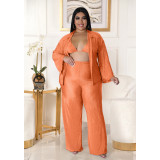 Fashion Plus Size Women's Solid Color Light Pressed Pleated Wide Leg Pants 3-Piece Set