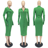 Fashion Pit Strip Flare Sleeve Dress