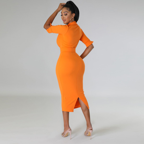 Long Sleeve Lapel High Waist Skinny Sexy Dress  M7662