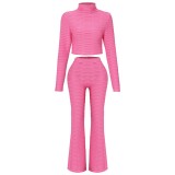 Autumn and winter new fashion casual suits short tops temperament slim fit slim flared pants